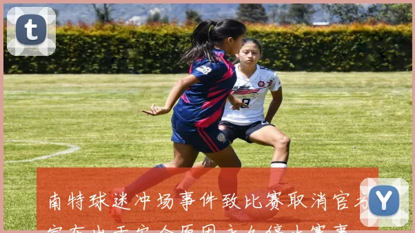 南特球迷冲场事件致比赛取消官方宣布出于安全原因永久停止赛事