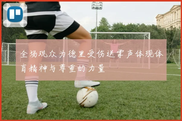全场观众为德里受伤送掌声体现体育精神与尊重的力量