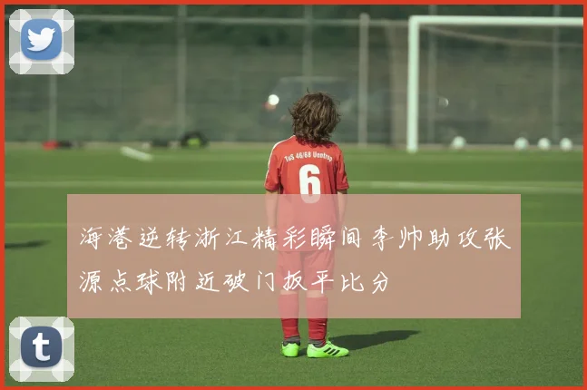 海港逆转浙江精彩瞬间李帅助攻张源点球附近破门扳平比分